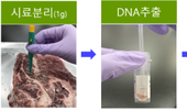 15분이면 쇠고기 원산지 바로 확인