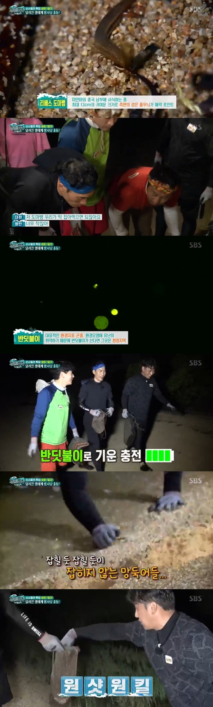 사진=SBS