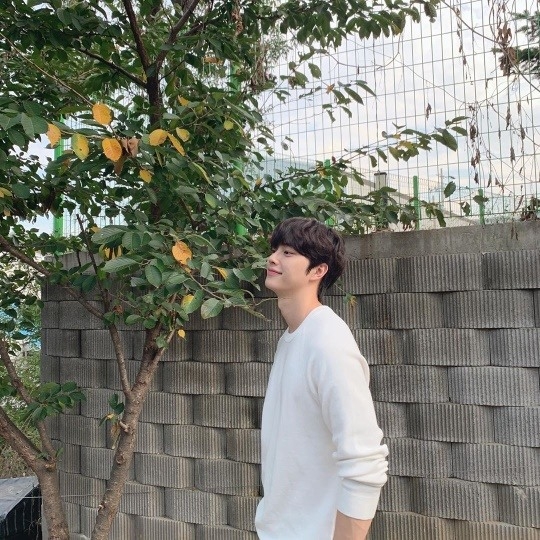 나무엑터스 인스타그램