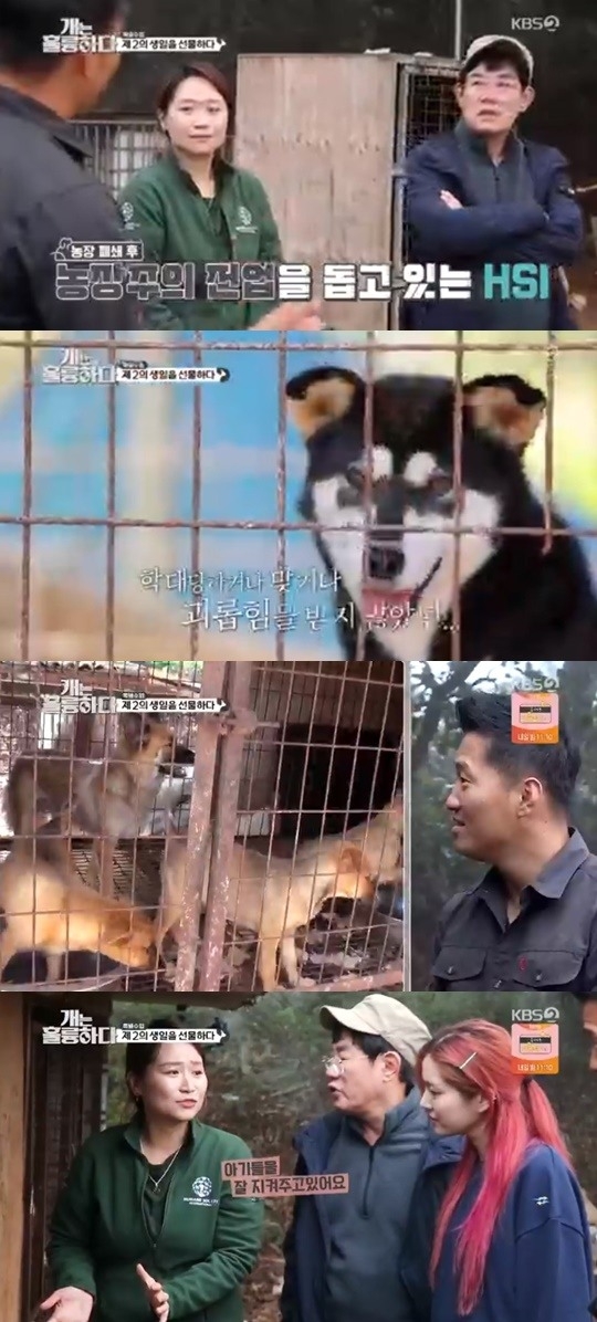 KBS 개는 훌륭하다 캡처