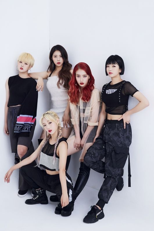 뿌리엔터테인먼트